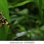 毛片在线观看 ouobl